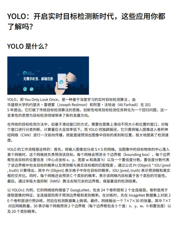 【計算機視覺】YOLO實時目標檢測算法綜述：原理、特點、應用領域及發(fā)展趨勢分析 PDF 下載 圖1